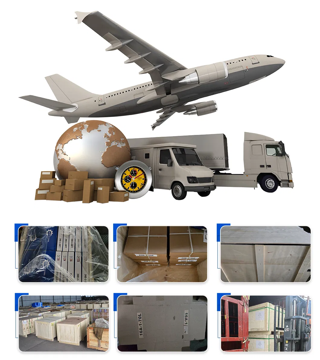 Bl666/Lh1266 Factory Direct Sales High Quality Heavy Loading Leaf Chain