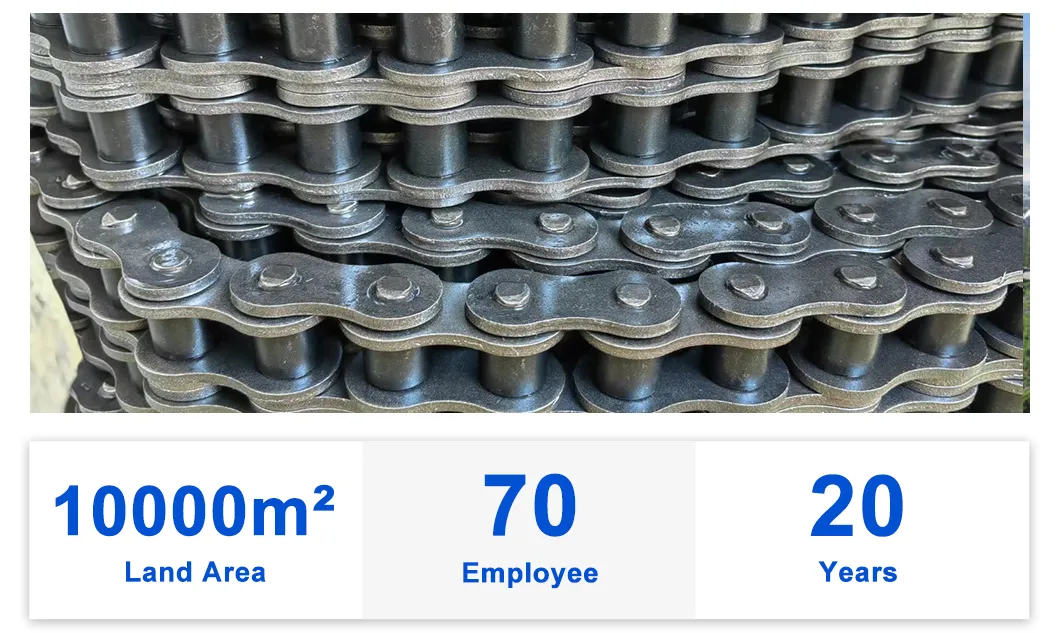 Professional Manufacture 28b-1 Short Pitch Roller Chain