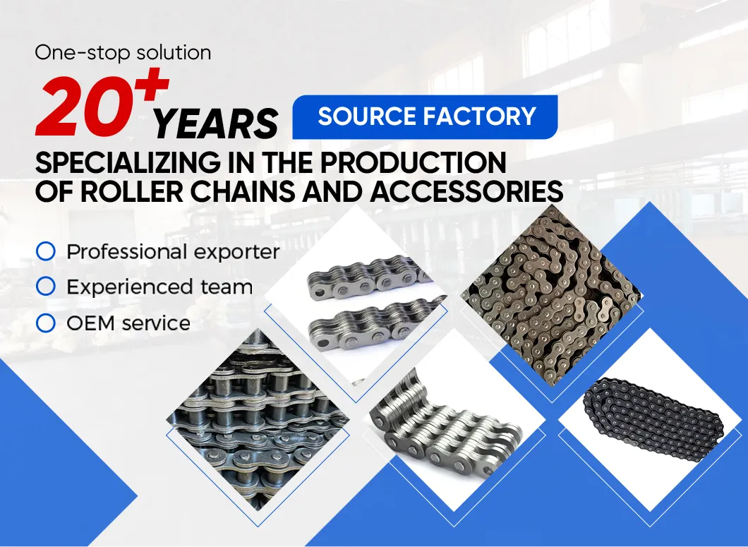 Bl688/Lh1288 High Tensile Strength Anti-Break Heavy Loading Leaf Chain