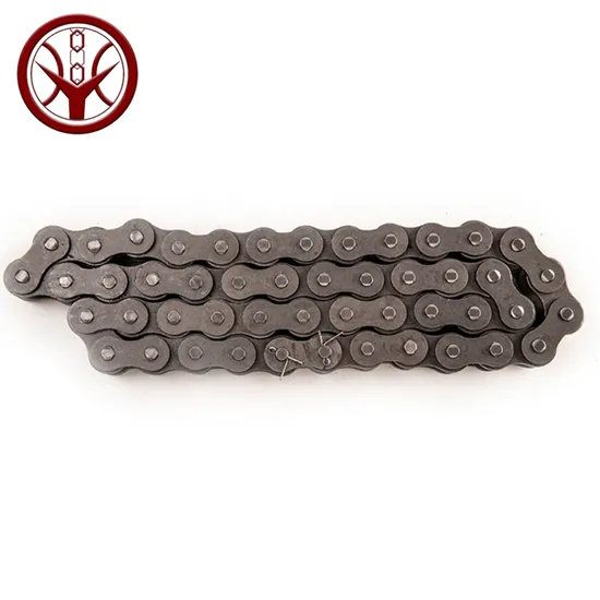 National Standard 40mn 32b-1 Roller Chain for Warp Knitting Spindles