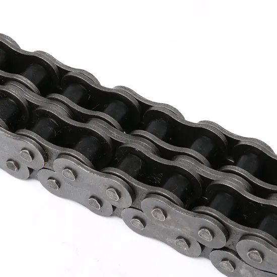Free Samples Industry Leading Duplex 120/24A-2 Short Pitch Roller Chain