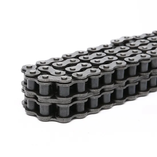 Corrosion Preventive Double Strand 80/16A-2 Precise Roller Chain